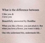 Difference.jpg