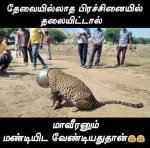 FB_IMG_1644147325152.jpg