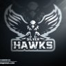 Silver Hawk